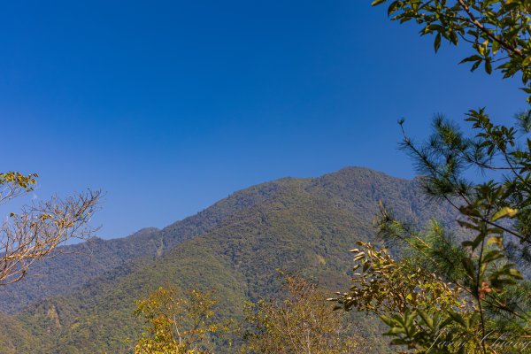 谷關七雄_唐麻丹山3015636