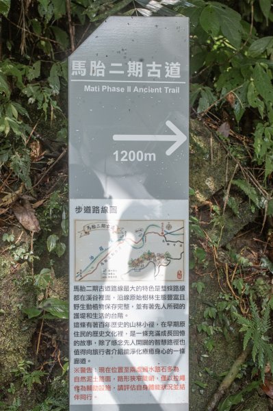 馬胎古道 （馬胎一期、南坪古道、內灣老街）3073811