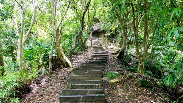 微笑山線和美山螢火蟲段2845900