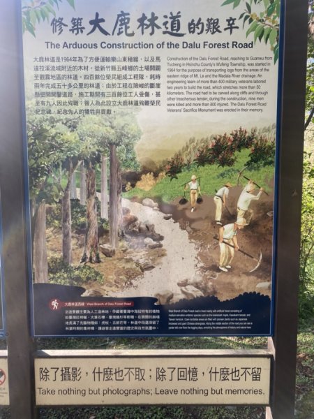 觀霧森林遊樂區（榛山及檜山巨木步道）3060121