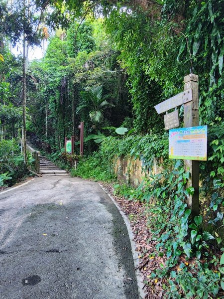 【梅山】圳北步道連走廟後步道小O行2266184