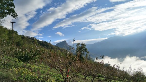 橫龍山&騰龍山(橫龍古道) 苗栗 泰安 2017 11 22211519