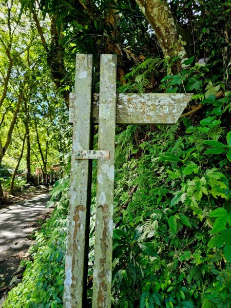 大山背麒麟步道 - 2024森遊竹縣皮皮獅Hike客任務2554886