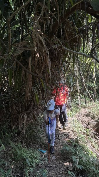 20250824小百岳大橫屏山2871803