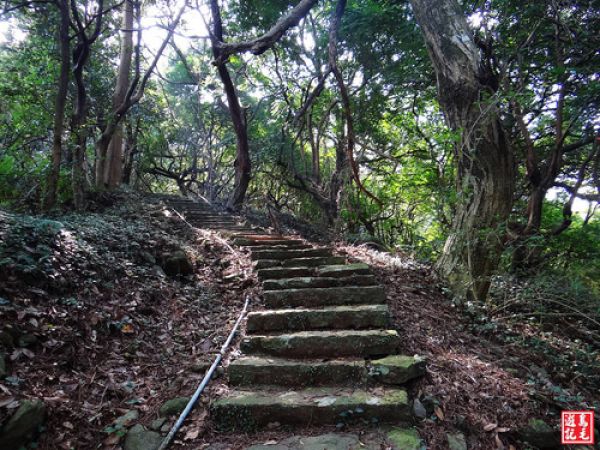 【新北市】淡水山仔頂步道至向天池