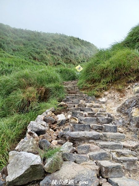 【台北北投】搭捷運公車爬山趣。 小百岳集起來。編號2小百岳~七星山步道1766570