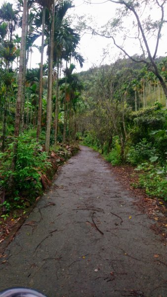 後尖山步道1488956