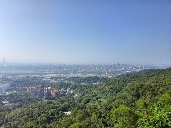 [百山百鳥尋旅-14/15] 2025_0929 劍潭山親山步道2900891