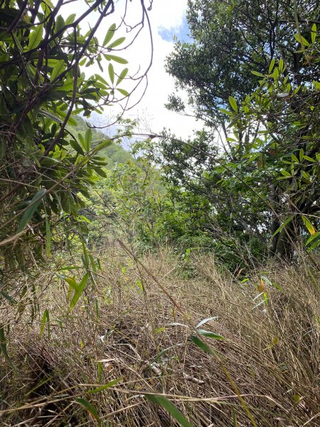 守城大山守關山南峰線2020/6/261016404