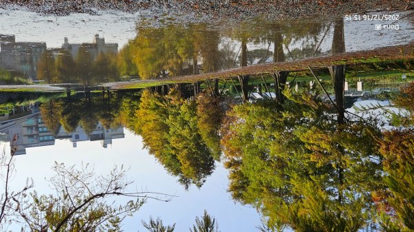 20251216太平山石門山小粗坑山O型+蕃薯藤TINA廚房2972642