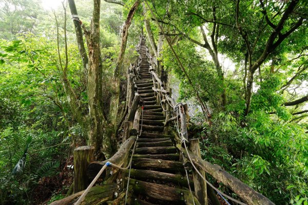 臺中 新社 頭嵙山、黑山、石苓湖山3047645