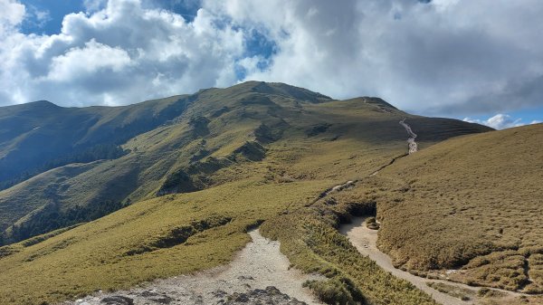 合歡山北峰1377982