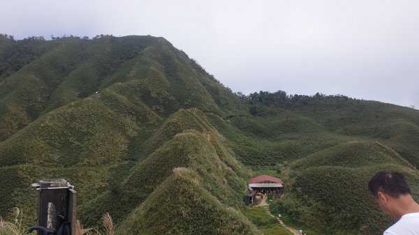 聖母登山步道（抹茶山）2005776