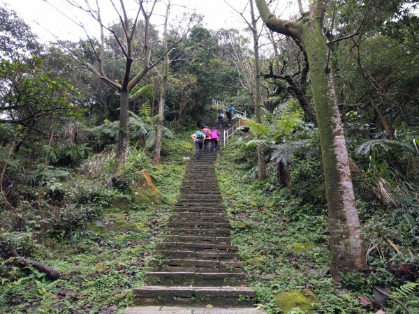 汐止大尖山O型路線(4座山頭+1個瀑布)808120