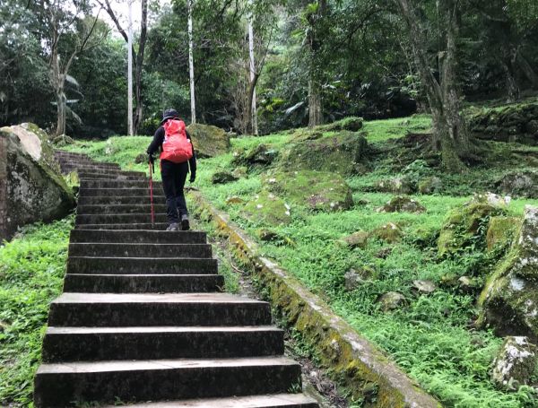 新溪州山環走石門壩槭林公園219503