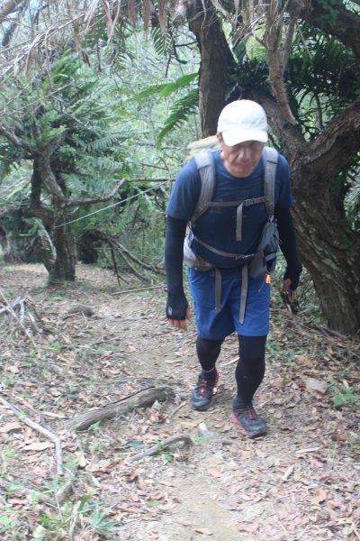 20240504台南難山-竹子尖山2497053