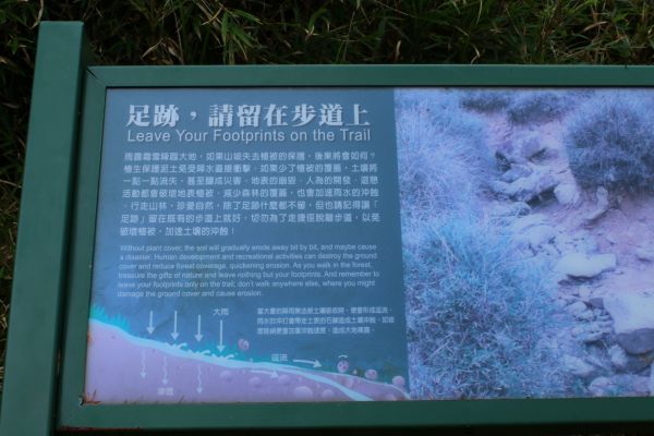 初探玉山國家公園塔塔加193705