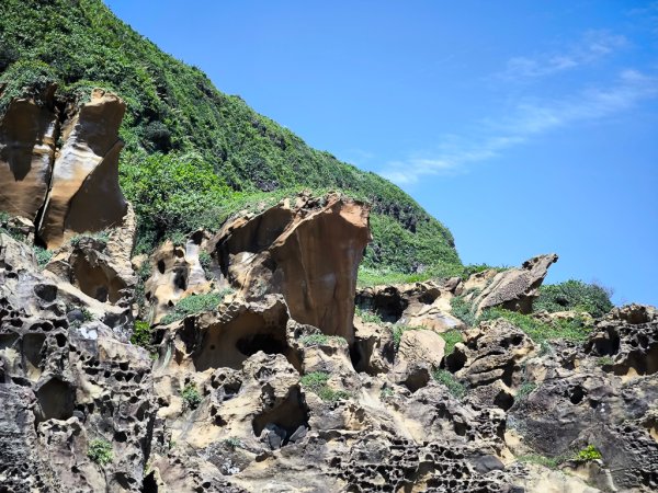 2026-06-21 阿拉寶灣+槓子寮山3087131