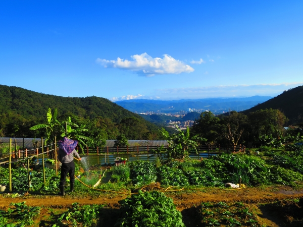 台北內湖碧山路步道96095