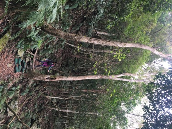 鳥嘴山（上島2708540