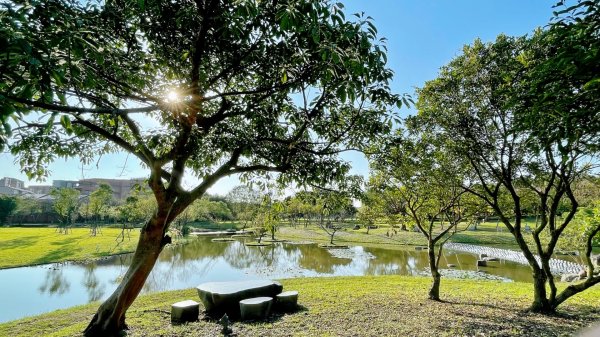 20220116_宜蘭中央公園、冬山河親水公園、林美盤石步道、羅東梅花湖步道1583966