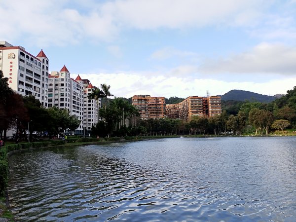 【南山神壽任務尋寶趣】碧湖公園步道憶故人