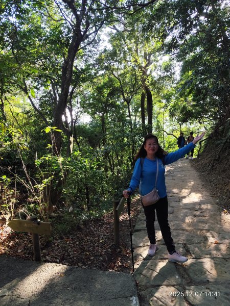 【臺北大縱走 5】碧山巖→忠勇山越嶺步道→金龍產業道路→圓明寺步道→鄭成功廟→潛園→格物台→劍潭古寺2958982