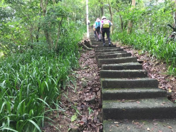 景安捷運-國旗嶺-長壽嶺圓通寺牛埔頭山封面