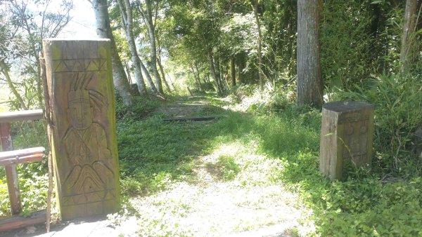 20250510福山古道隴頂步道健行:2791507