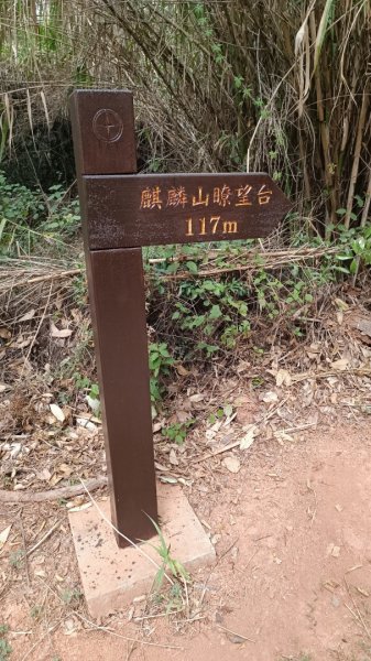 烈嶼麒麟山森林公園步道1889824
