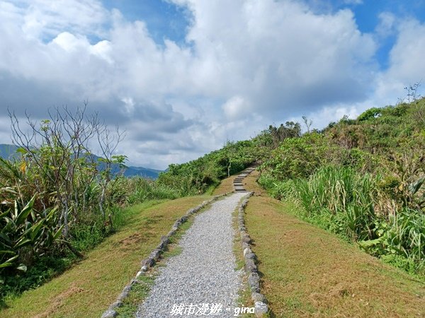 【花蓮豐濱】藍天碧海。大石鼻山步道2251451