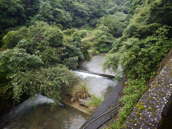 [淡蘭古道] 2026_0614 北路第三段_道路3075539