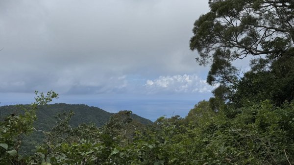 20250811未竟之小百岳里龍山2858823