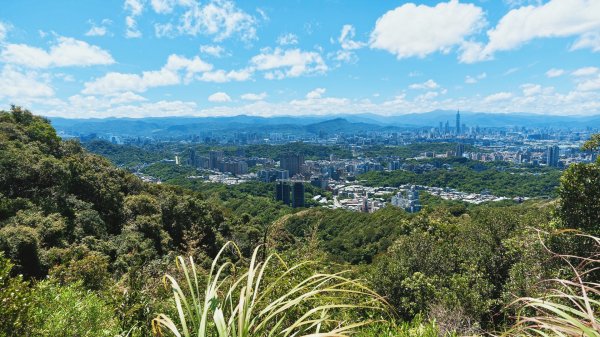 台北健行｜金面山縱走鯉魚山：大岩壁攀爬與山林驚喜3118498