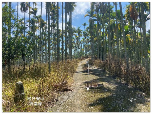 槌仔寮山、槌仔寮山西南峰、金龍山步道 連走2846707