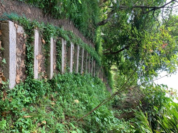 台中市太平區三汀山（小百岳）1028921