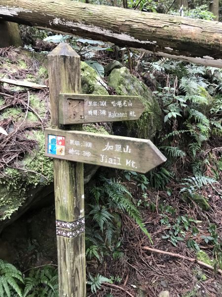 加里山134159
