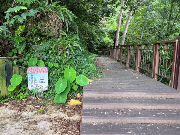 白蘭溪古道2846931