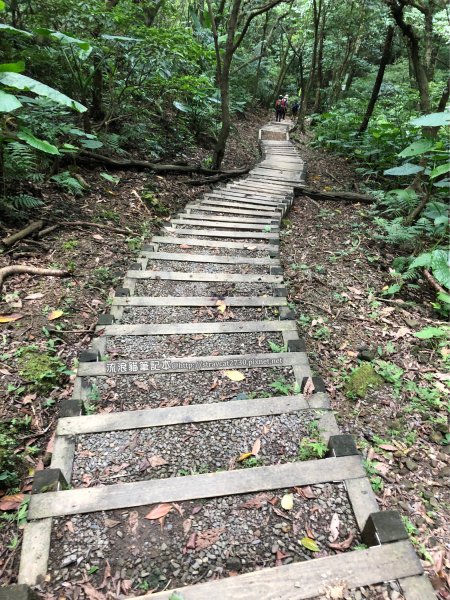 三貂嶺越嶺猴硐步道1035724
