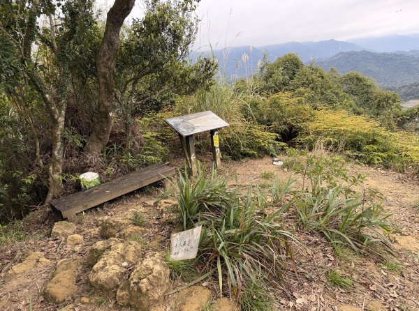 [微笑山線_第四段] 2026_0321 天上山系_十八羅漢岩3022131