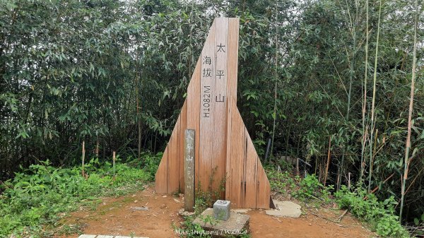 《嘉義》雲霧茶園｜雲嘉三加一連峰O繞202406082520292