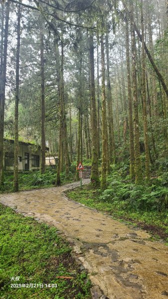 2025-0221 明池步道2718235