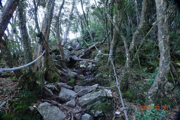 臺中 和平 稍來山1597373