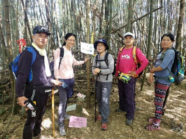 四天皇山知鳥山青園山篤鼻山1264663