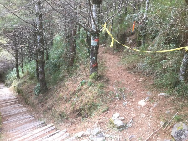 20211218高雄庫哈諾辛山1588311