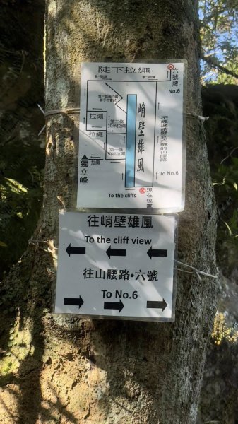 20251116五寮尖2942259