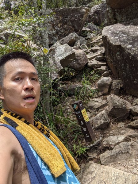 走進森林蓊鬱天地－德芙蘭_東卯山步道3012294