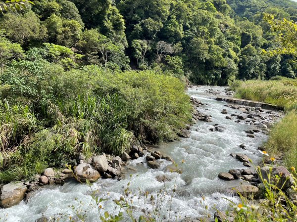 水雲三星虎山2281488