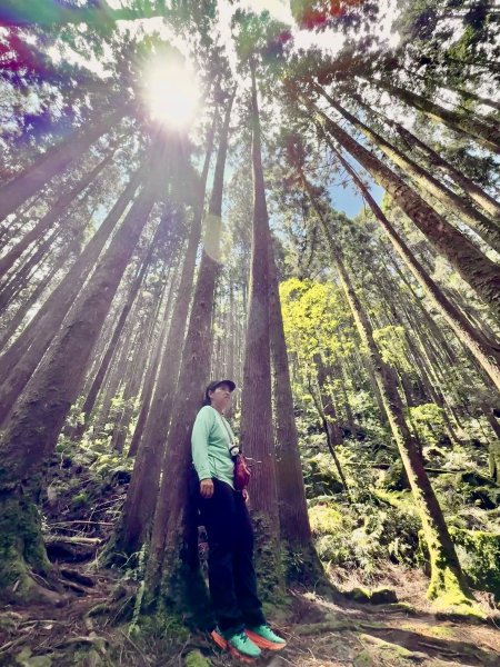 橫嶺山走走避暑趣 2025.6.112815416