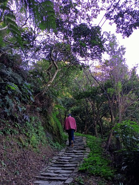 桃園大溪石門水庫楓林步道、齋明寺古道【南山神壽任務】1963923